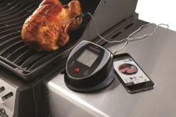 Napoleon ACCU-PROBE Bluetooth Grillthermometer -Natur Erlebnis Napoleon Accu Probe Grillthermometer Anwendung