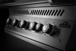 Napoleon 700-Series 38" BIG38 Edelstahl Einbaugrill Inkl. Drehspieß - Modell 2023 -Natur Erlebnis Napoleon Einbaugrill 700 Series BIG38 Bedienblende