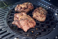 Enders Switch Grid Einsatz: Sear Grate Gusseisenrost 6 Enders Switch Grid Einsatz: Sear Grate Gusseisenrost -Natur Erlebnis enders switch grid einsatz sear grate 7791