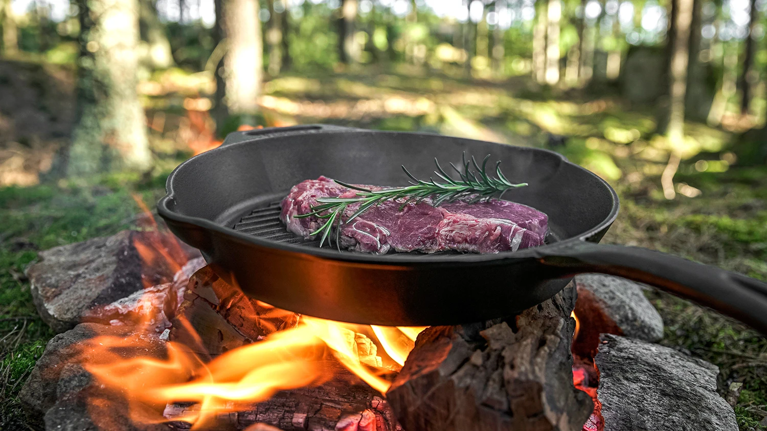 Petromax Grillpfanne Gusseisen Gp30 Mit Stiel 2 Petromax Grillpfanne Gusseisen Gp30 Mit Stiel – Bild 2